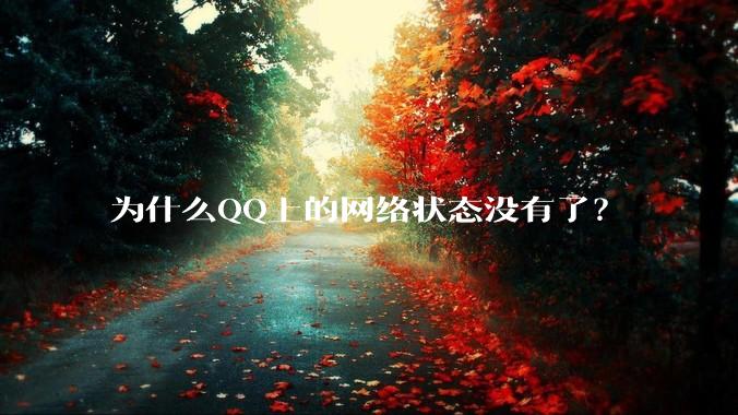 为什么QQ上的网络状态没有了？